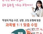덕양구 초등 영어과외 용두동 벽제동 중학생 중등 고등 국어 수학과외 중1 중2 중3 고1 고2 고3
