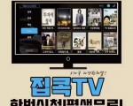 '한국'중국'일본'여러나라 생방송 재방송 한번가입으로 평생보기