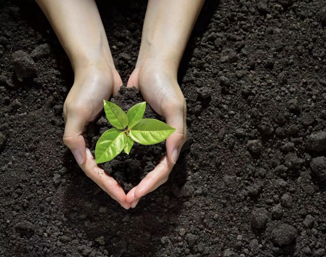 20230710185806_4960.jpg