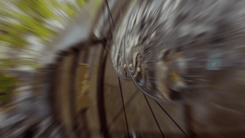 640+%281%29.gif