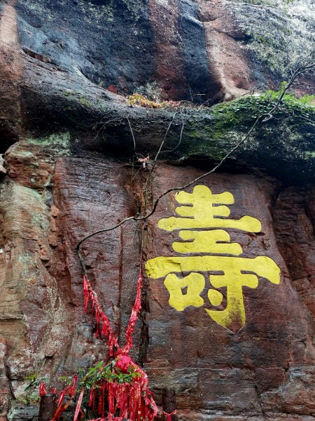 Weixin+Image_20240509191414.jpg