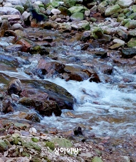 Weixin+Image_20240823162944.jpg