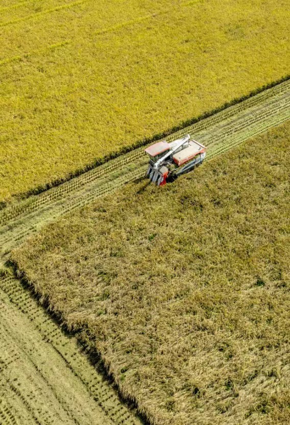 20241114195052_9816.jpg