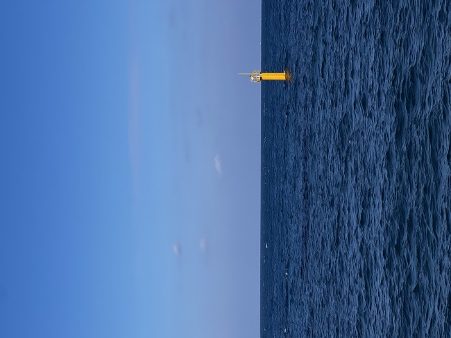 20241121200629_7551.jpg