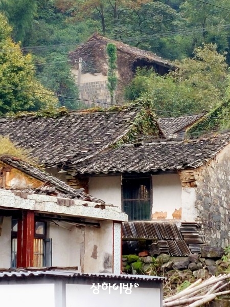 Weixin+Image_20241101210725.jpg