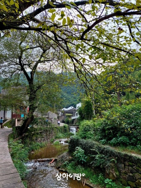 Weixin+Image_20241101210735.jpg