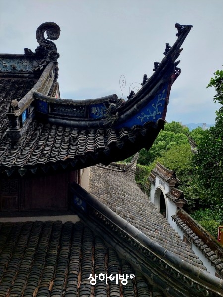 Weixin+Image_20241101210750.jpg