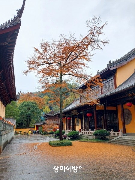 Weixin+Image_20241125171814.jpg