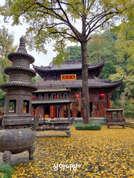 Weixin+Image_20241125171820.jpg