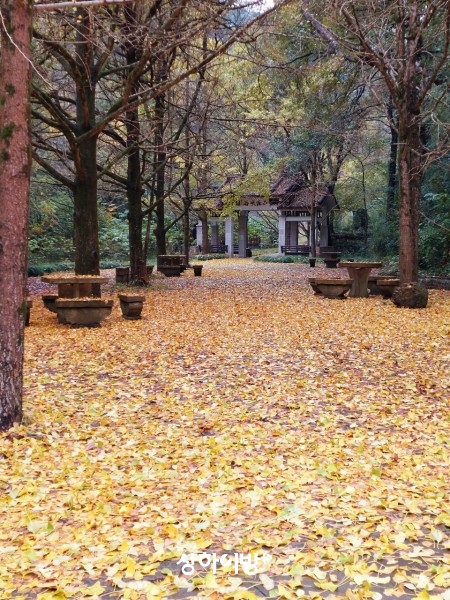 Weixin+Image_20241125171802.jpg
