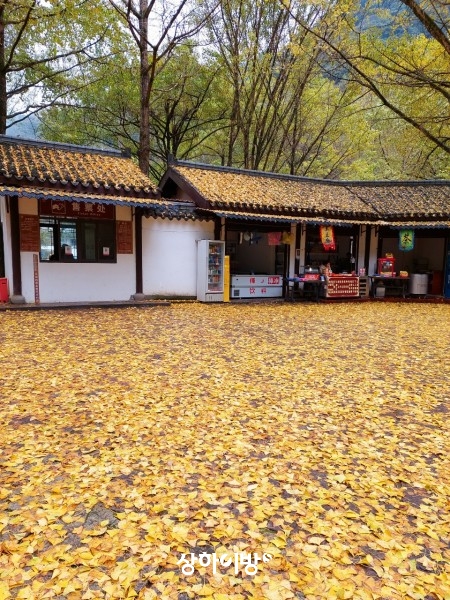Weixin+Image_20241125171808.jpg