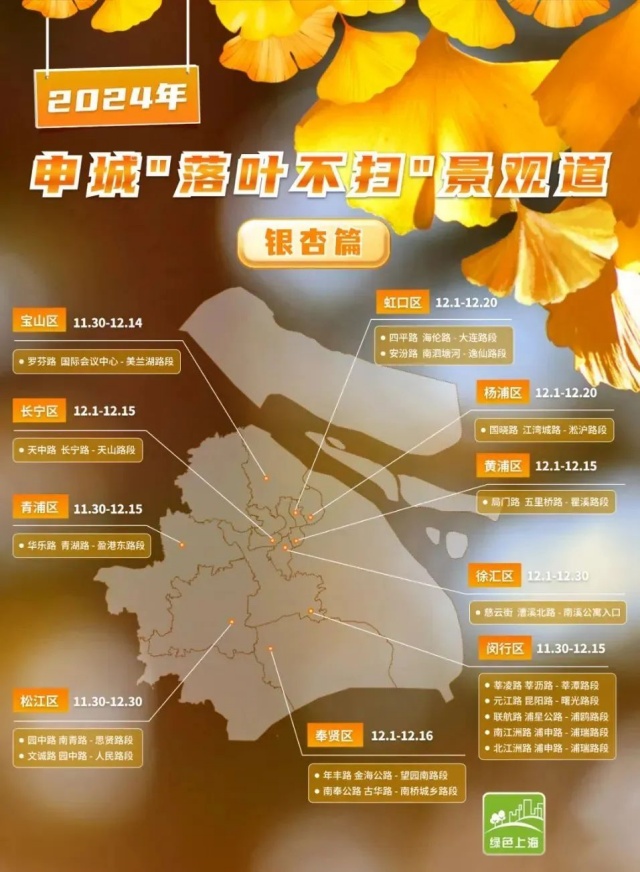 86b8eaf45.jpg