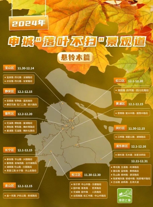 11a45fa09.jpg