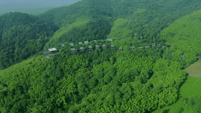 04.2.gif