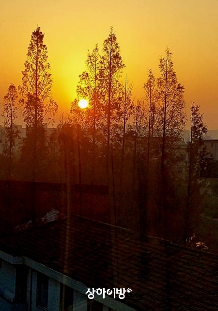 Weixin+Image_20241226120838.jpg