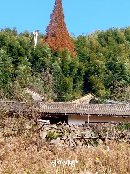 Weixin+Image_20241226120924.jpg