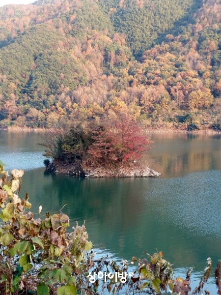 Weixin+Image_20241226120953.jpg