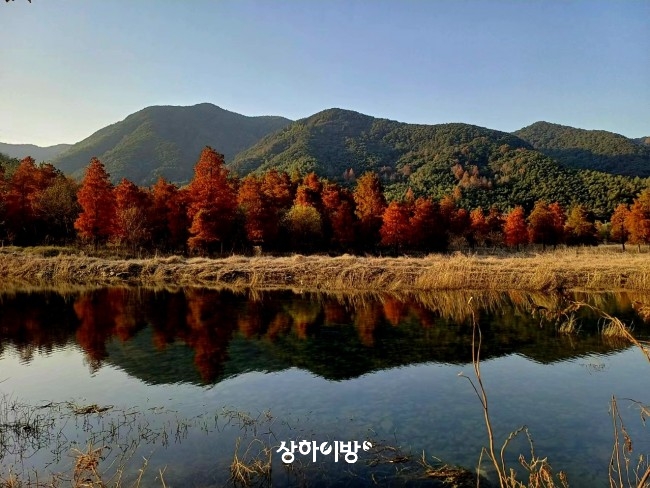 Weixin+Image_20241226120940.jpg