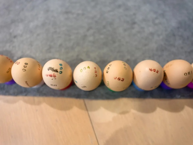 batch_05.4.jpg