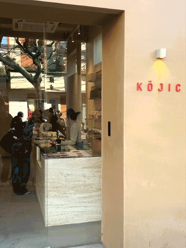 04.2.gif