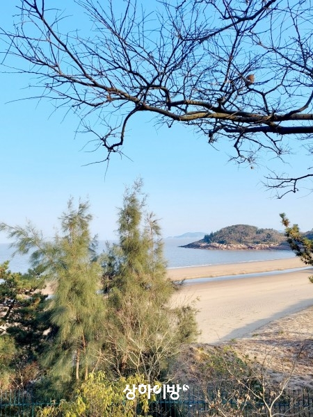 Weixin+Image_20250319171228.jpg