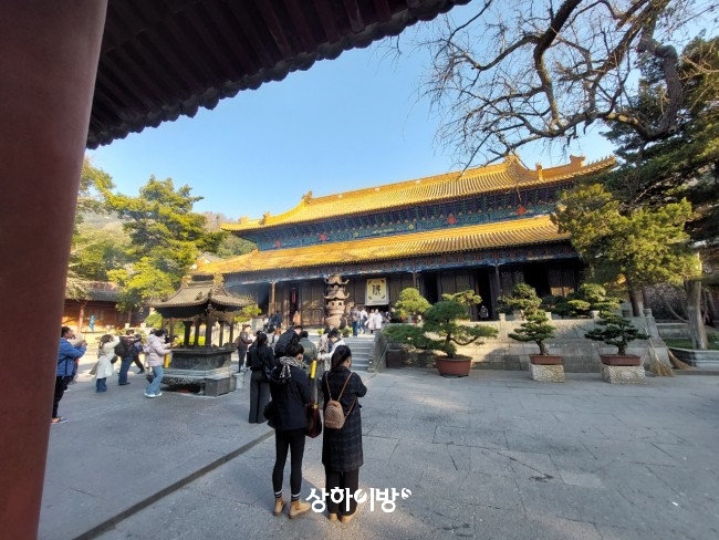 Weixin+Image_20250319171239.jpg