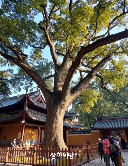Weixin+Image_20250319171235.jpg