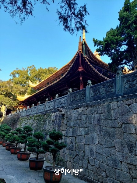 Weixin+Image_20250319171243.jpg