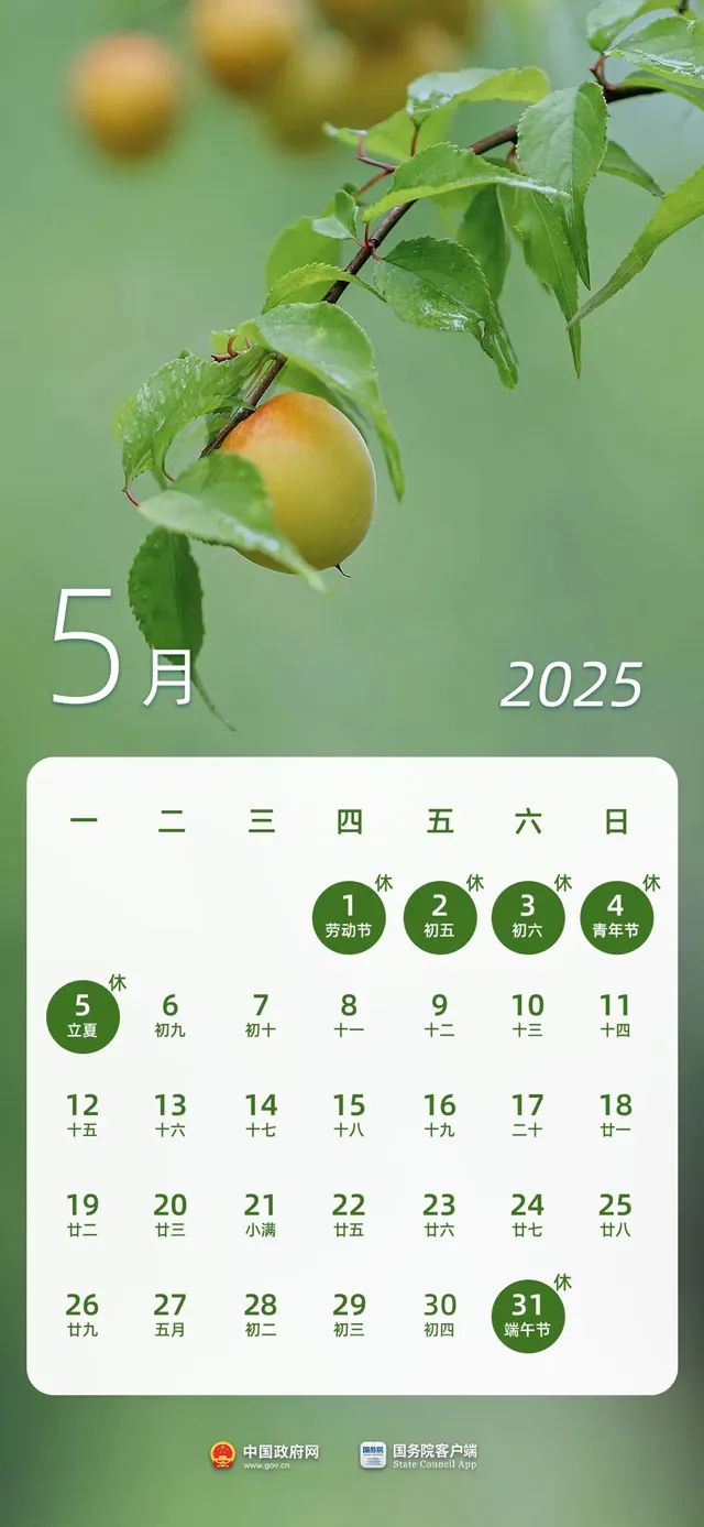 20250429155322_9782.jpg