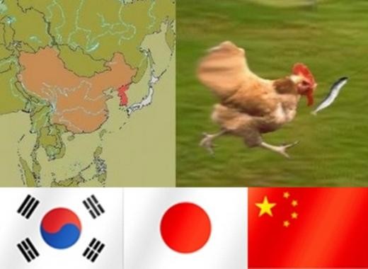 미국인이 보는 한중일, ‘멸치 쫓는 닭’…한국은 닭의 볏?